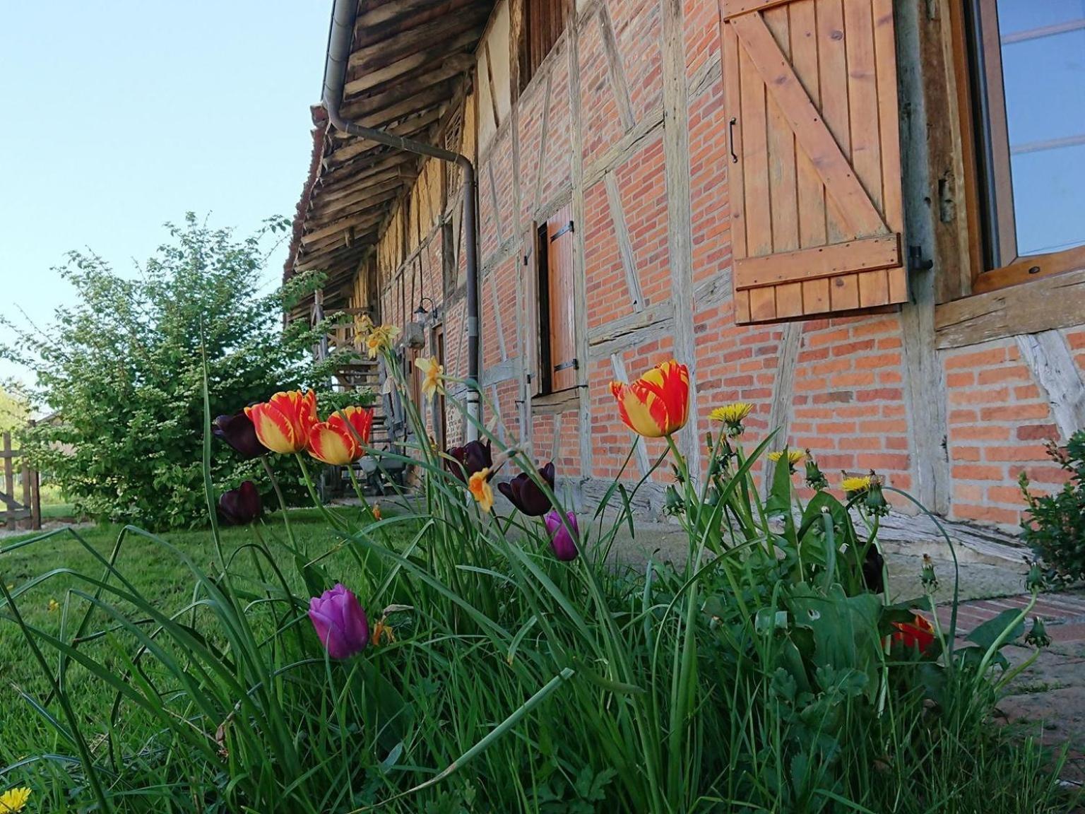 A La Poularde B&B Curciat-Dongalon Екстер'єр фото