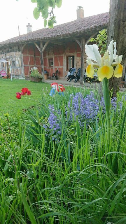 A La Poularde B&B Curciat-Dongalon Номер фото
